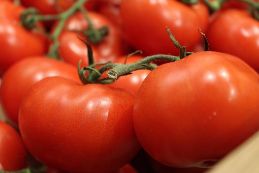 Free Tomato Vegetables photo and picture