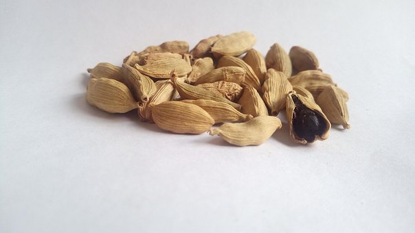 Free White Cardamom Herb photo and picture