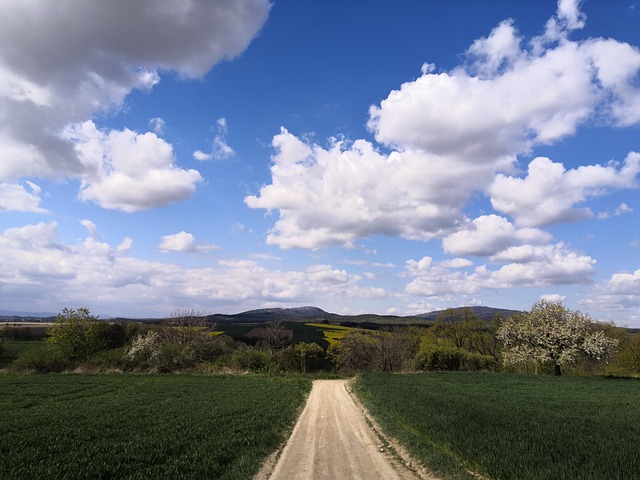 Free Way Clouds photo and picture