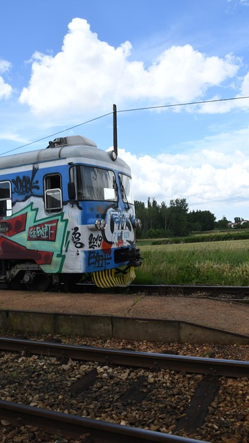 Tren, Croacia, Locomotora, Viaje