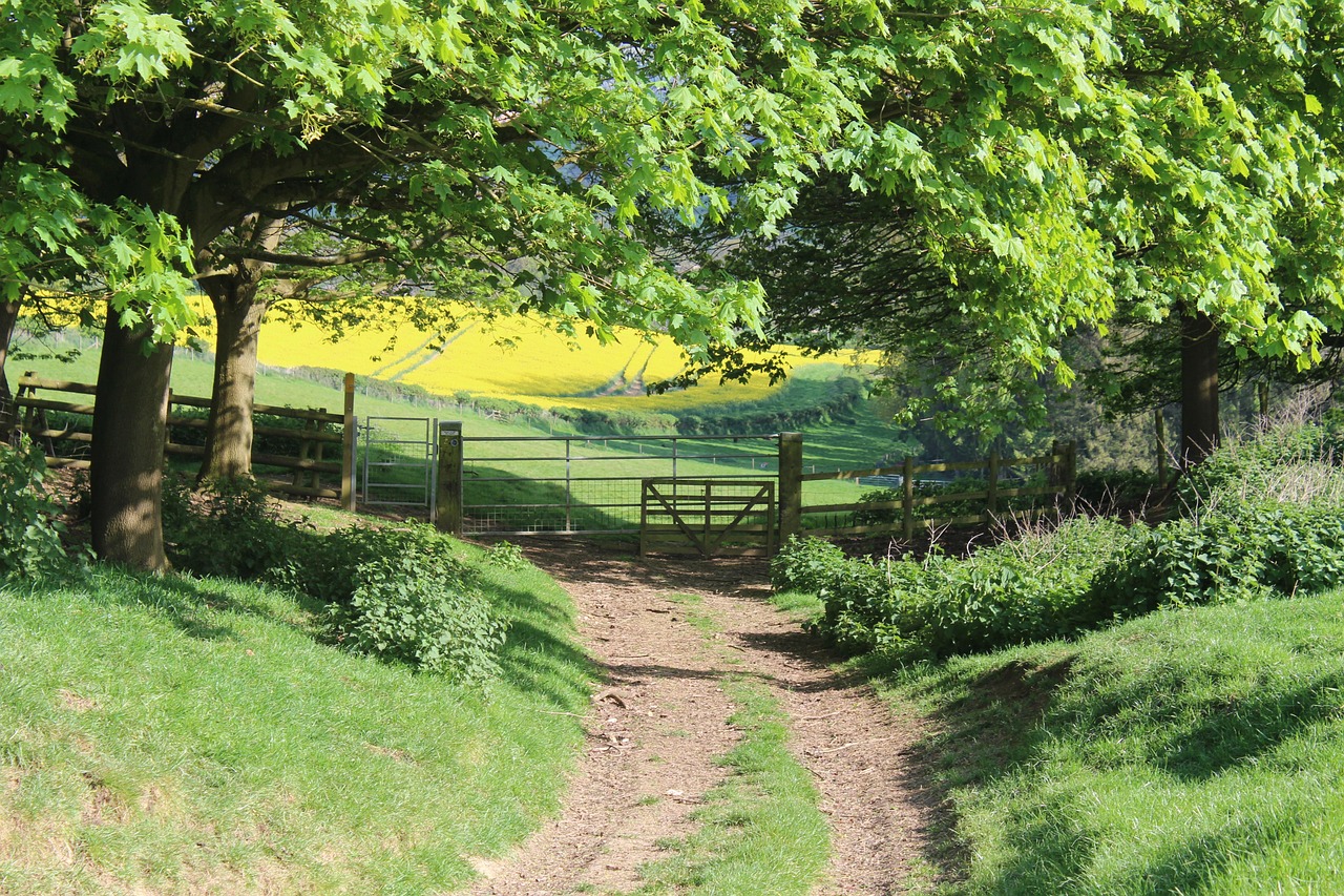 Cotsowld Spring Spring Cotswolds Footpath - Free photo on Pixabay