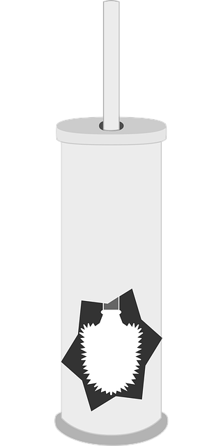 Toilette, Reinigung, Bürste