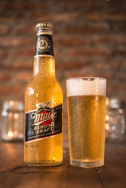 Lebensmittel, Studio, Bar, Bier, Glas