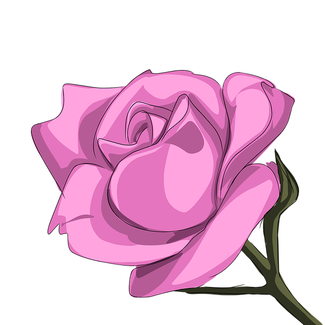 Trandafir, Floare, Bunga, Roz, Natura