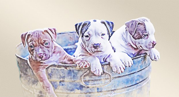 Filhote De Cachorro, Aquarela, Bonitinho
