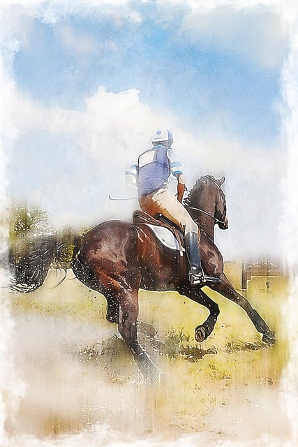 Cavalo, Passeio, Aquarela, Equestre
