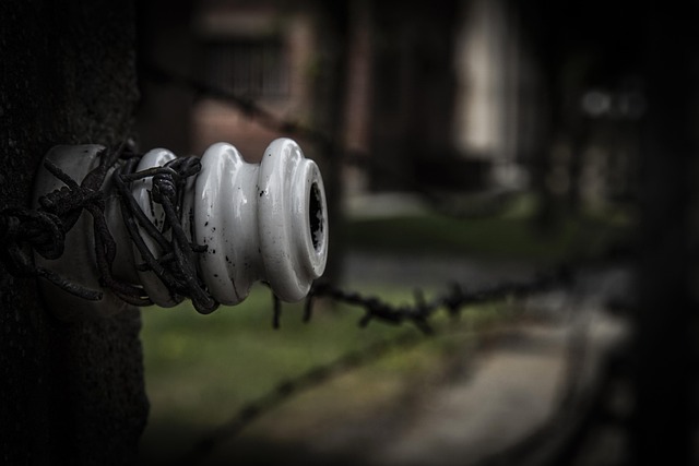 Free Auschwitz-Birkenau Camp photo and picture
