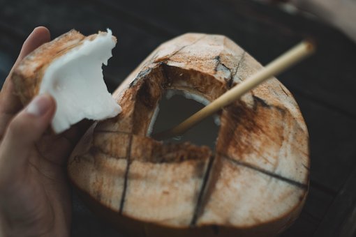 Kokosnuss, Lombok, Indonesien
