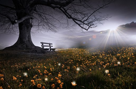 Fantasía, Paisaje, Misterioso, Flores
