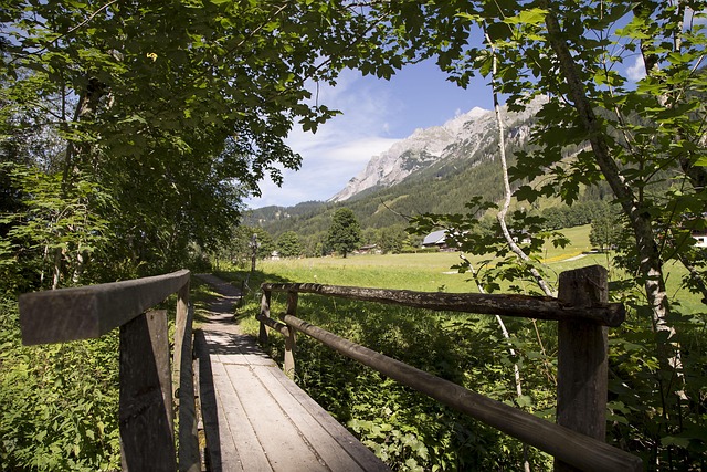 Weg, Alpen, Natur, Wolken, Berg, Sommer