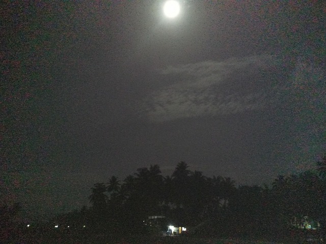 夜景 月亮 - Pixabay上的免费照片 - Pixabay