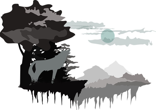 Free night nature forest vector