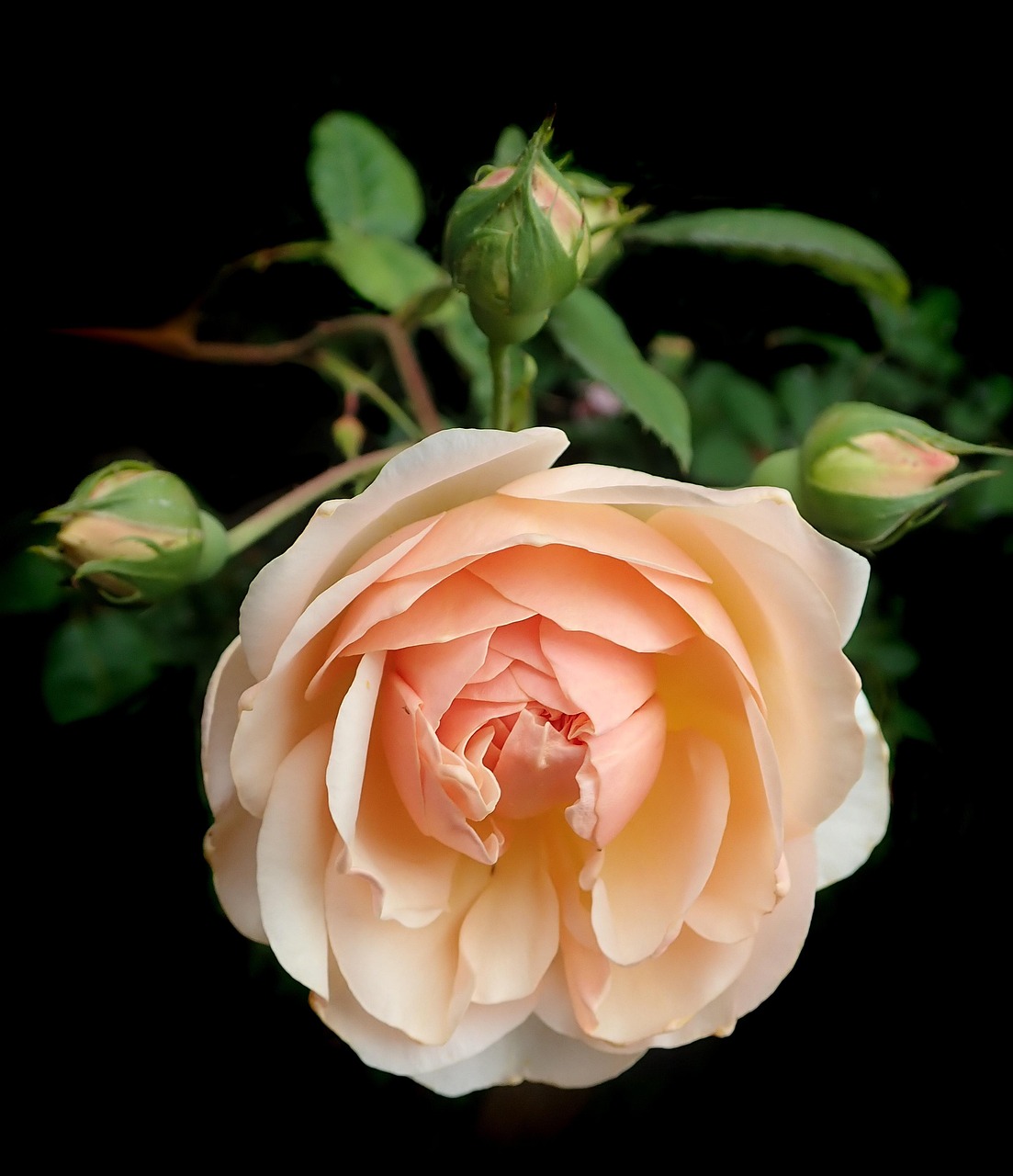 Filtro Purificatore Aria Per Modelli MC70LVM E MCK57LMV2 - Rimozione Polvere, Polline E Odori - Foto 11