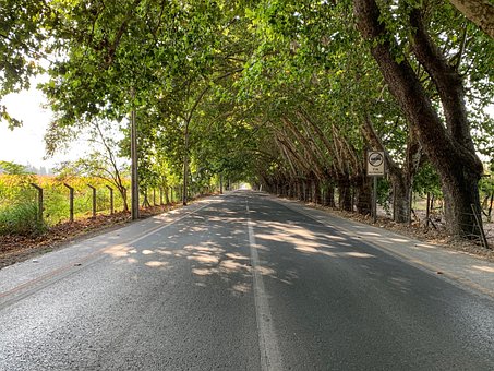 Free Perspective Path photo and picture