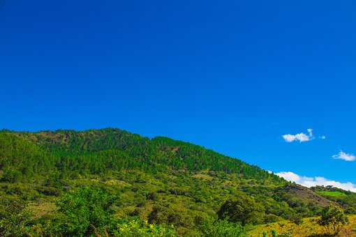 Free Landscape Beautiful photo and picture