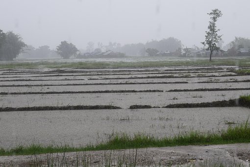 Free Raining Floating photo and picture