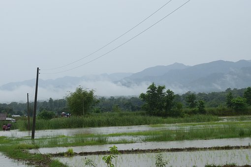 Free Raining Floating photo and picture