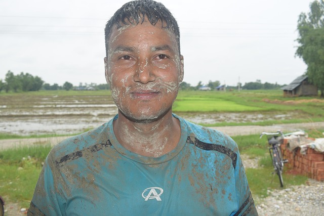 40,000+ Free Rice Planting & Rice Images - Pixabay