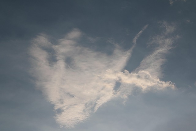 Schat, Wolken, Landschap, Strand, Zee