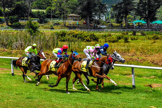 Free Horse Racing photo and picture