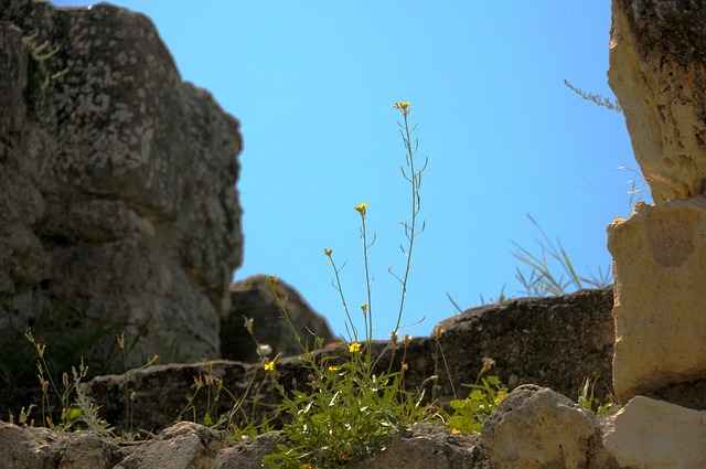Free Stones Sky photo and picture