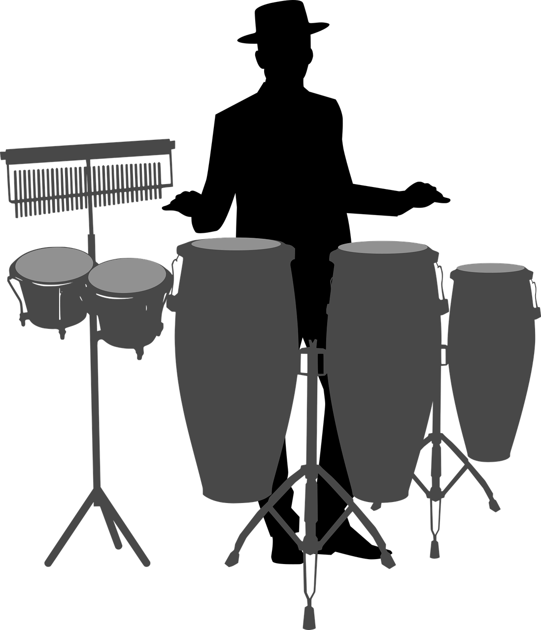 Download Conga Drum Bongo Royalty Free Vector Graphic Pixabay