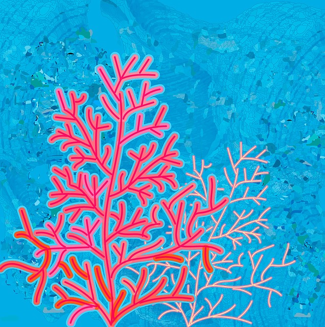 Coral, Las Criaturas Submarinas, Corales