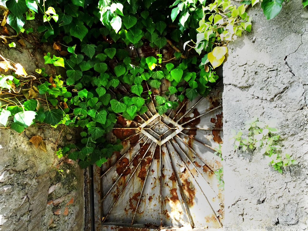 Old Gate Door - Free photo on Pixabay - Pixabay