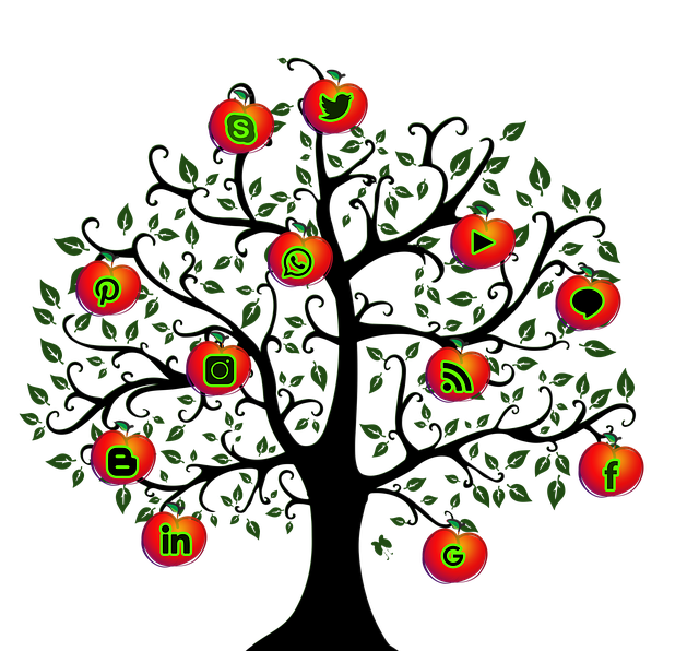 Icono, Medios De Comunicación Social