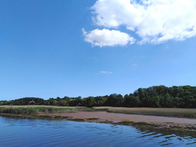 Free Blue Sky photo and picture