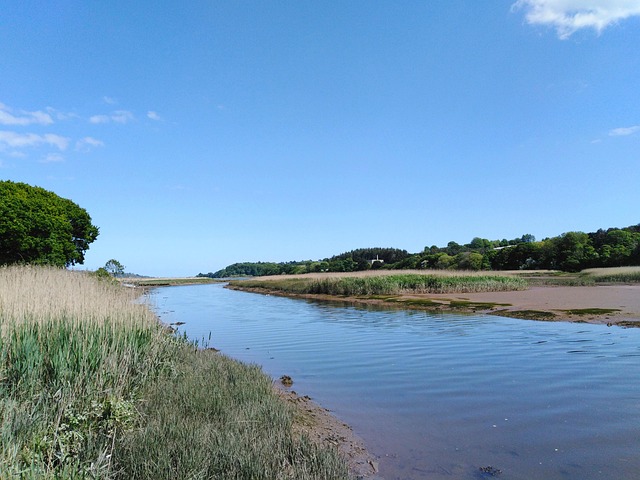 Free Blue Sky Blue photo and picture