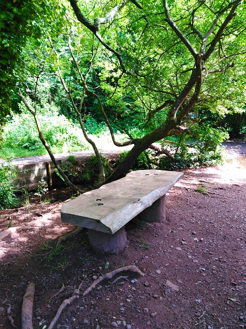 Free Seat Bench photo and picture