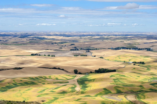 Free Farm Agriculture photo and picture