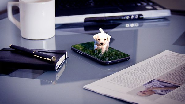 Free Dog Puppy photo and picture
