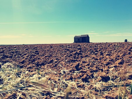 Free Funds Landscape photo and picture