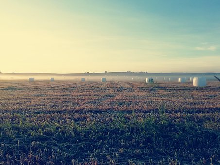 Free Funds Landscape photo and picture