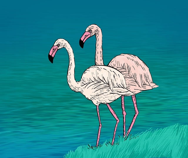 Free Flamingo Pink Flamingos illustration and picture