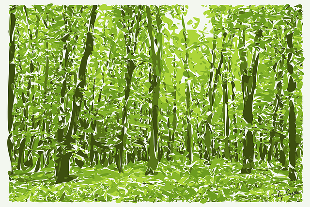 Verde, Forest, Naturaleza, Paisaje