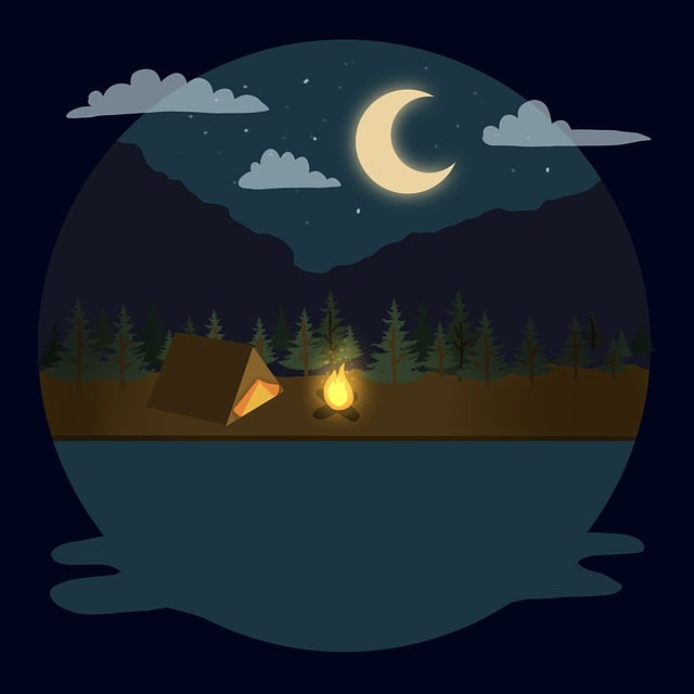 Download free HD stock image of Camping Night Free camping night campfire illustration