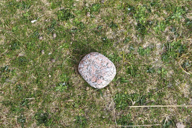 Free Pink Granite Iona photo and picture