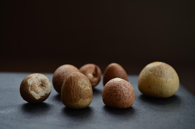 Free Nut Betel Nut photo and picture