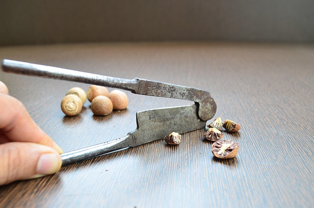 Free Nut Cracker Betel Nut Cracker photo and picture