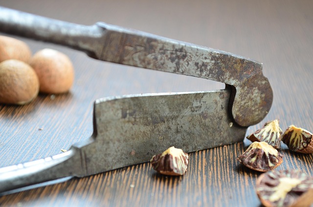 Free Nut Cracker Betel Nut Cracker photo and picture