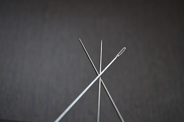 Free Needles Head photo and picture