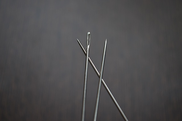 Free Needles Head photo and picture