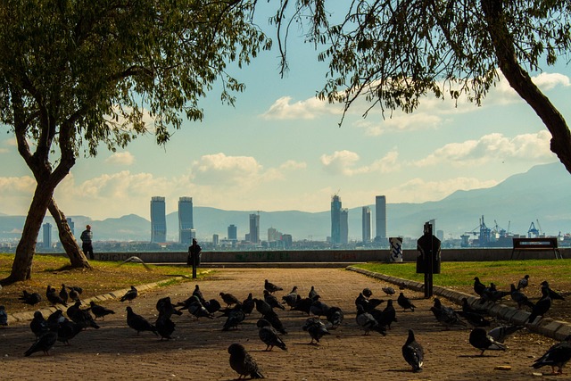 Free City Cityscape photo and picture