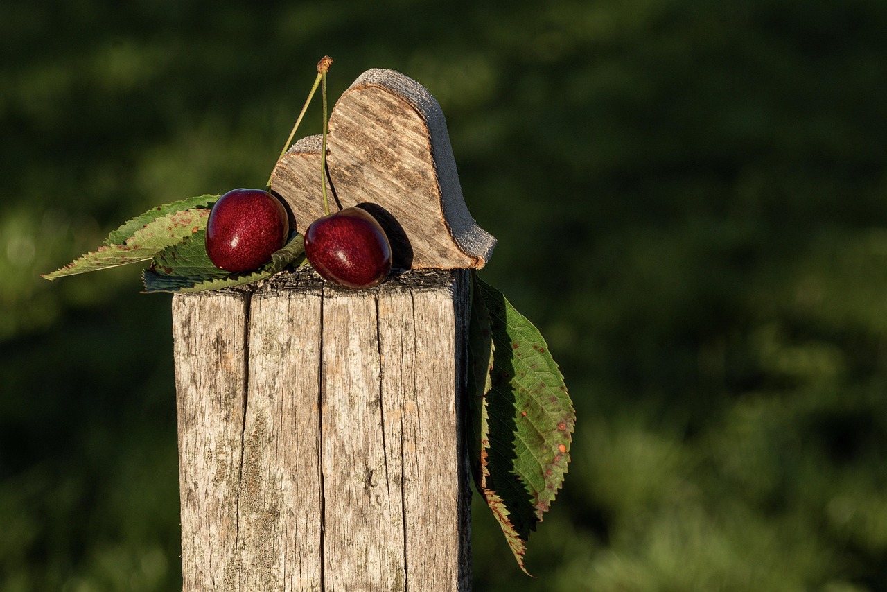 Cherries - free online jigsaw puzzle photo