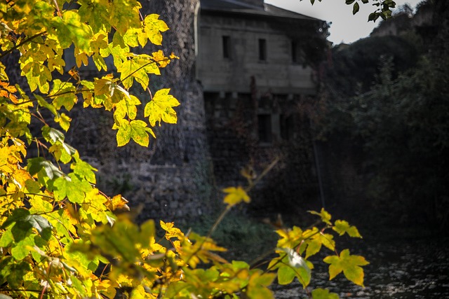 Free Castle Hülchrath photo and picture