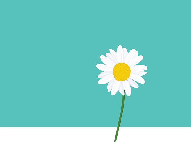 Download free HD stock image of Background Flower Free background flower floral background illustration