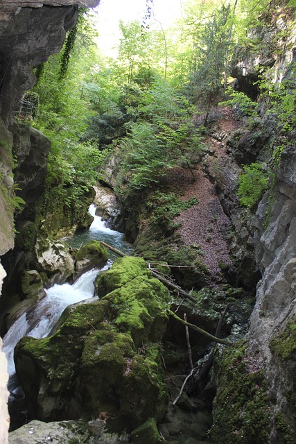 Free Taubenlochschlucht Switzerland photo and picture